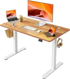 FEZIBO Elektrisch höhenverstellbarer Schreibtisch 100x60 cm Stehpult