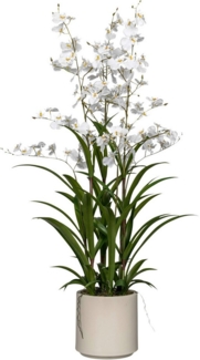 Kunstorchidee Orchidee Oncydie, Creativ green, Höhe 98 cm, im eleganten Topf