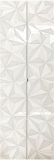 INOSIGN Aktenschrank Prisma, Breite 63 cm, Höhe 184 cm, 2 Türen (3 Einlegeböden) Büroschrank, Mehrzweckschrank, Front mit Siebdruck
