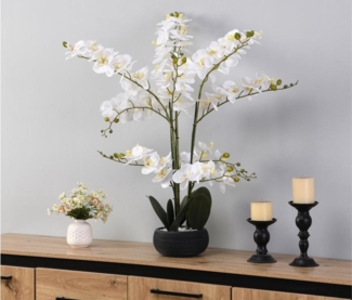 Vente-unique - Kunstpflanze Orchidee mit Zementtopf - 65 x 54 cm- Weiß -TARA