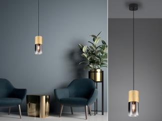 TRIO Leuchten LED Pendelleuchte, Dimmfunktion, LED wechselbar, Warmweiß, klein, Rauchglas einflammig für über-n Esstisch & Bett hängend, Ø 10cm