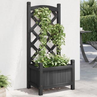 vidaXL Pflanzkübel mit Spalier Schwarz Massivholz Tanne 365484