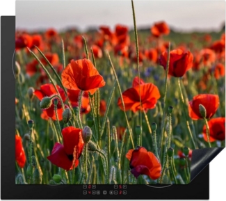 MuchoWow Herd-Abdeckplatte Blumen - Mohnblumen - Natur - Rot, Vinyl, (1 tlg), Cerankochfeld Abdeckung, Herd Abdeckplatten Vinyl, 58x51 cm