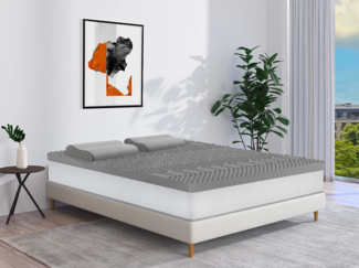 Vente-unique - Ergonomisches Kopfkissen fest - Memory Schaum - Mit abnehmbarem Bezug - 38 kg/m³ - 40 x 60 - Grau - VIANCA