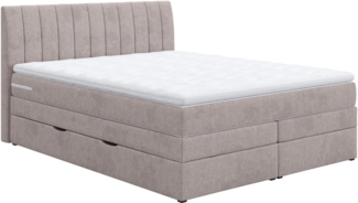 COTTA Boxspringbett Shark inkl. Bettkasten und Topper, erhältlich in den Breiten 140x200 cm, 160x200 cm und 180x200 cm
