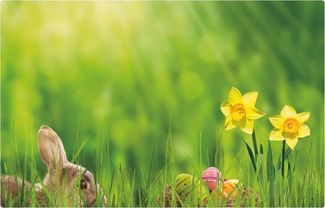 matches21 HOME & HOBBY Platzset Abwaschbare Tischsets 6er Set Ostern Blumen Osterglocken, (6-St), Platzsets als Tisch-Untersetzer und Tisch-Deko für Esstisch Teller