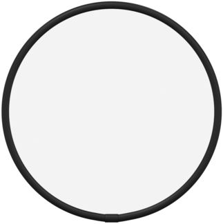 vidaXL Wandspiegel Schwarz Ø 20 cm Rund 348183