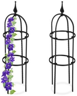 Rankhilfe 70 cm 2er Set