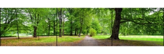 Sichtschutz Premium Panorama Parklandschaft XXL