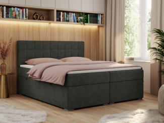 Boxspringbett, Doppelbett, Polsterbett mit Kopfstütze - CARMEN - 200x200cm - Dunkelgrau Stoff - H4