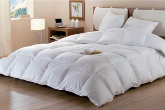 Sparset: Bettdecke 220 x 240 cm + 2 Kopfkissen 65 x 65 cm - Naturdaunen - DODO von BAFFIN