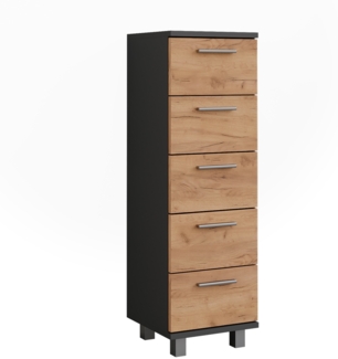Vicco Midischrank Anthrazit/Goldkraft Eiche 30.2x95 cm, Ilias