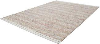 Teppich My Jaipur 333 multi 80 x 150