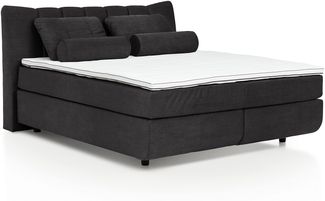 Mivano Free Boxspringbett/Bett mit 7-Zonen-Taschenfederkern-Matratze und Premium Topper/Härtegrad H2 + H4, Mikrofaser All Senses Dunkelbraun, Liegefläche 180x200 cm