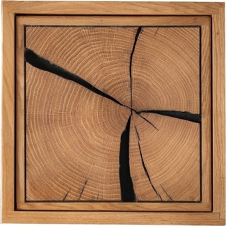 Wandregal mit Holztür 34x34cm 'Danzig II' Wildeiche massiv