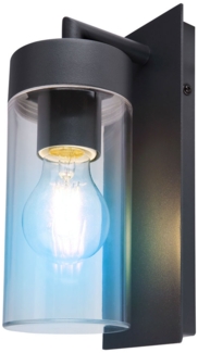 RGB LED Wandleuchte, Aluminium anthrazit, klar H 25 cm