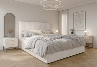 AX LIVING Bett mit Bettkasten 160x200 cm Argentaro graues Boxspringbett