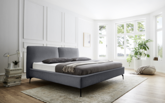 Meise Möbel Polsterbett Infinity, 160x200 cm, grau