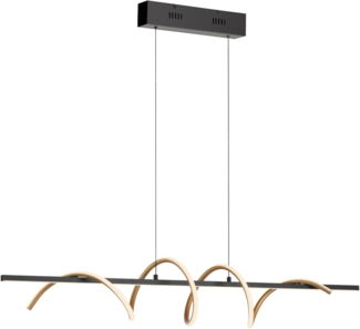 JUST LIGHT Pendelleuchte EMANDA, Dimmfunktion, LED fest integriert, Warmweiß, LED, dimmbar, Switchmo, Comfort Lift, Memory, nach Trennung vom Netz