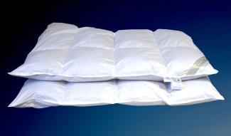 2 Stück Betten Hofmann 8cm Winter Hochsteg Daunenbetten Daunendecken 4x6 155x220 1450g