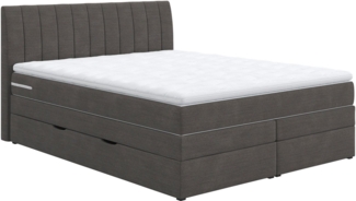 COTTA Boxspringbett Shark inkl. Bettkasten und Topper, erhältlich in den Breiten 140x200 cm, 160x200 cm und 180x200 cm