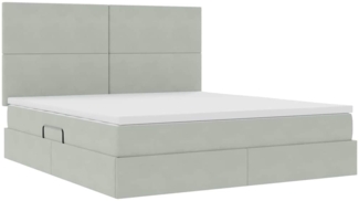 vidaXL Bett mit LED-Lichtleisten Hellgrau 180x200 cm Samt 3372621
