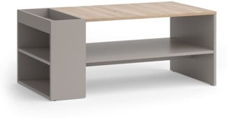 Vicco Couchtisch Greige 100x55 cm mit Regalen, Wido