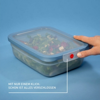 Emsa Frischhaltedose oneClick, Polyprophylen (PP), (1-tlg), verschlossen mit nur 1 x Klick, 100% dicht, made in Germany