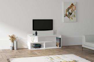 Skye Decor TV-Schrank Schränke, 40 x 100 x 29,6 cm, 100% Melaminbeschichtete Partikelplatte