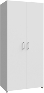 FORTE Drehtürenschrank 2 Dekore, Mehrzweckschrank, Einlegeböden optional