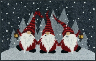 Erwin Müller Fußmatte Fußmatte "Wichtel", eckig, Höhe: 7 mm, Motiv