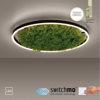 JUST LIGHT 15392-66 GREEN RITUS LED Deckenleuchte Moos 60cm