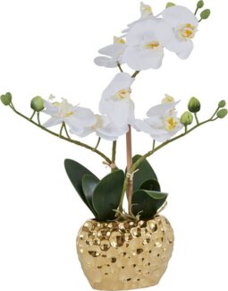 Kunstpflanze Orchidee Orchidee, Leonique, Höhe 38 cm, Kunstorchidee, im Topf, Bestseller, über 2500 4,5-Sterne-Bewertungen