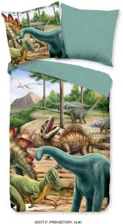 good morning Kinderbettwäsche Prehistory Dinos, Biber, Flanell, 2 teilig, Biber, 135x200, Weich, Warm, Reißverschluss, Wende, Kind, Junge, Dino