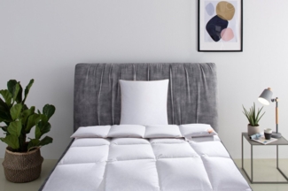 RIBECO Daunenbettdecke + Kopfkissen Richard, Bettwaren-Set in 135x200 oder 155x220 cm, Sommer oder Winter, Füllung: Daunen & Federn, Seit 105 Jahren überzeugt RIBECO durch Qualität