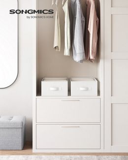 SONGMICS Aufbewahrungsbox Kleiderschrank-Organizer (2 St, Aufbewahrungsbox 6 Fächer, Schubladen-Ordnungssystem), 2er Set Aufbewahrungsbox mit 6 Fächern