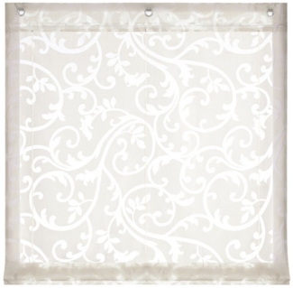 Joyswahl Raffrollo, mit Hakenaufhängung, Voile Ausbrenner, mit Reben