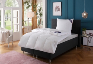 Excellent Daunenbettdecke + Federkissen Bettdecken-Set Zürich, 4-tlg, Herbst, Winter & weitere Wärmeklassen, Füllung: Bettdecke 100% Daunen, Bezug: 100% Baumwolle, Bettdecke 2 x 135 x 200 und 155x220 cm & 2xKissen 40x80 & 80x80 cm