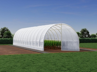 Vente-unique - Foliengewächshaus mit verzinktem Stahlrahmen & Tür - 36 m² - 300 x 1200 x 200 cm - Weiß - ALOCASIA