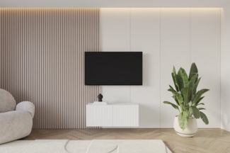ALTDECOR Lowboard NOA-2 (1 St, TV-Schrank, TV Möbel, TV Cabinet, Fernsehtisch hängend 100cm), Fernseher schrank, TV Kommode, TV Tisch, TV Sideboard, TV Boar