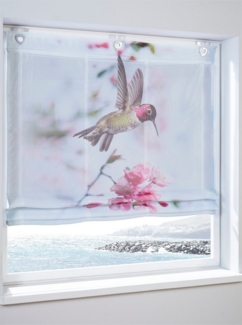 Rollo Raffrollo, heine, transparent, Ösen mit Fensterhaken