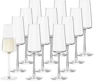 Stölzle Lausitz POWER Champagnerglas 240 ml 12er Set