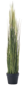 Dekoria Dekoration Pampas Grass 100cm