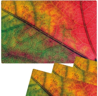 matches21 HOME & HOBBY Platzset Abwaschbare Tischsets 4er Set buntes Herbst Blatt, (4-St), Platzsets als Tisch-Untersetzer und Tisch-Deko für Esstisch Teller