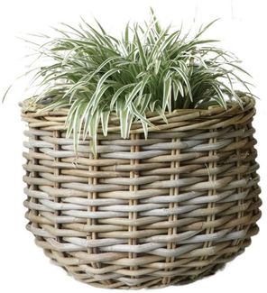 LebensWohnArt Dekokorb Pflanzkorb BÜSUM Natural Grey ca. 34cm Natur-Rattan Korb Übertopf