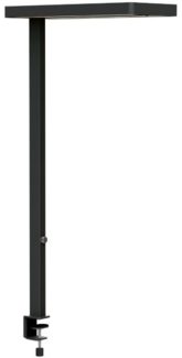 Maul Tischaufbauleuchte MAULjuvis LED dimmbar Bewegungs-/Lichtsensor s