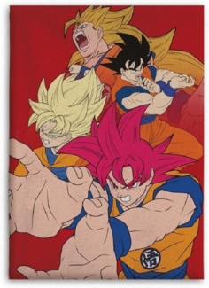 Dragon Ball Z Wohndecke – Weiches & leichtes Decke für Bett & Sofa (110x150 cm)