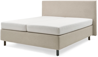 Borata Boxspringbett grau Uni-Stoff 212cm x 198cm x 113cm