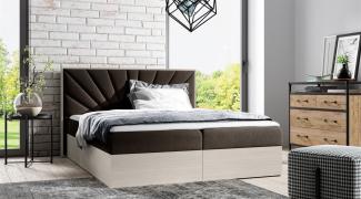 Boxspringbett Bett DAIMON 120x200 cm Nordic Teak Stoff Braun inkl. Bettkasten