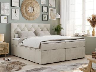Boxspringbett, Bett, Polsterbett, zwei Bettkästen - ALDA - 200x200cm - Beige Velours - H3